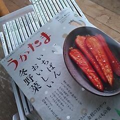 農文協  うかたま