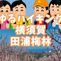 【ゆるハイキング】【初心者向け】2月23日（日）横須賀・田浦梅林...