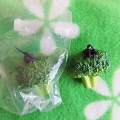 ブロッコリースナイパー2個で20円