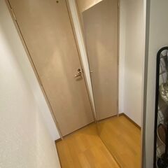 鏡　姿見　リフェクスミラー　フィルムミラー