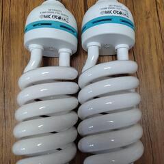 撮影用電球の画像