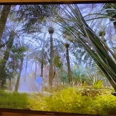 【20％オフ】43インチ　テレビ　FUNAI