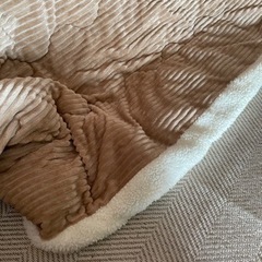 こたつ　こたつ布団の画像