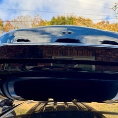 TERZO PIAA エアロクロスライダー185 ルーフボックス の画像