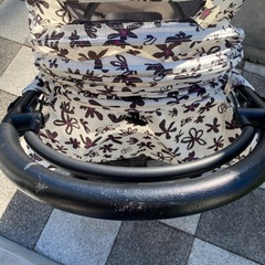 エアバギー airbuggy COCO 限定モデル
の画像