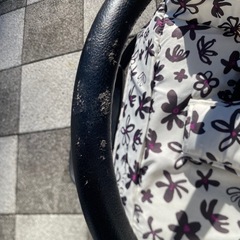 エアバギー airbuggy COCO 限定モデル
の画像