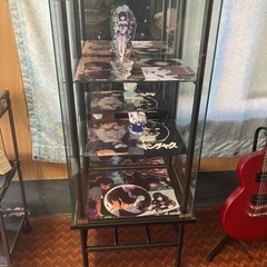 フィギュアケース決定