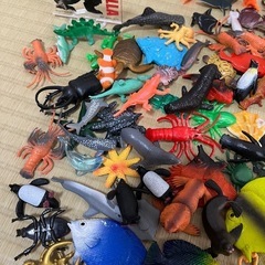 生き物　おもちゃの画像