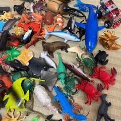 生き物　おもちゃの画像