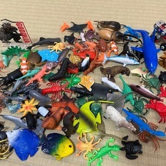 生き物　おもちゃ