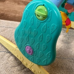 プーメリーの画像