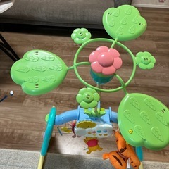 プーメリーの画像