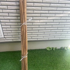 竹竿