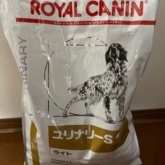 ドッグフード