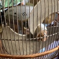 3枚３連扇風機の画像