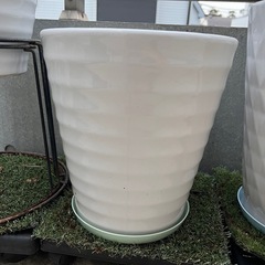 白磁の花鉢の画像