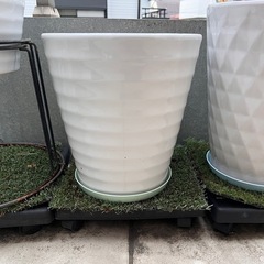 白磁の花鉢の画像
