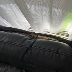 ローソファの画像