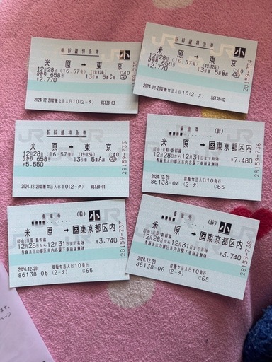 米原駅から東京駅新幹線指定席チケット