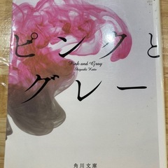 小説　ピンクとグレー
