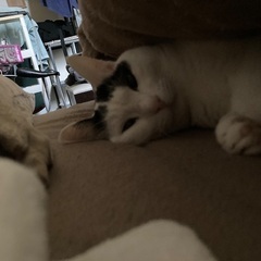 良かったら皆んなで集まって遊びましょー！