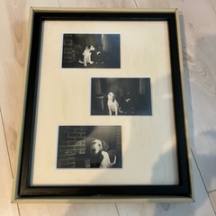 額縁付きポスター