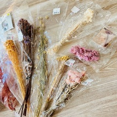ハーバリウム ドライフラワー 瓶 ボールペン セット まとめ売りの画像