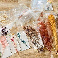 ハーバリウム ドライフラワー 瓶 ボールペン セット まとめ売りの画像
