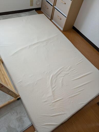 トゥルースリーパープレミアム　セミダブル