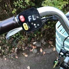 電動アシスト　三輪車　ラクットワゴン　ブリヂストンの画像