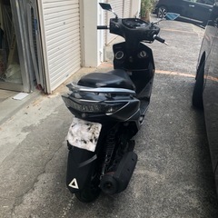 シグナス　3型の画像