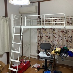 決まりました   ロフトベット