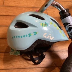 GIANT preバイク　の画像