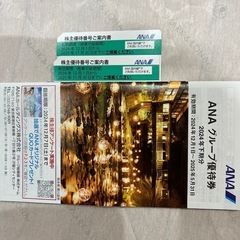 値下✳︎ＡＮＡ株主優待２枚 