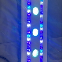 オルカT60 オーバーフロー水槽　+ オマケの画像