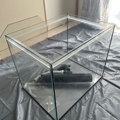 オルカT60 オーバーフロー水槽　+ オマケ