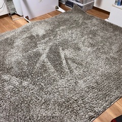 カーペット【ニトリ】