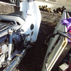 スーパーカブ値引きしました、　110ｃｃ　セル　キック式の画像