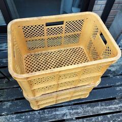 収穫用　コンテナの画像