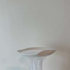 搾乳器　母乳フリーザーパックの画像