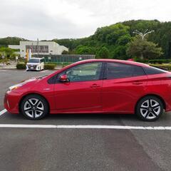 期間限定値下げ　車検R8.8までトヨタ 50プリウス Sツーリング US仕様の画像