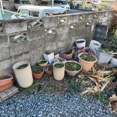 オシャレ植木鉢など必要な方にお譲りいたします。