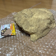 新品★ロックシェルターSP Ｌ★爬虫類･両生類用の画像