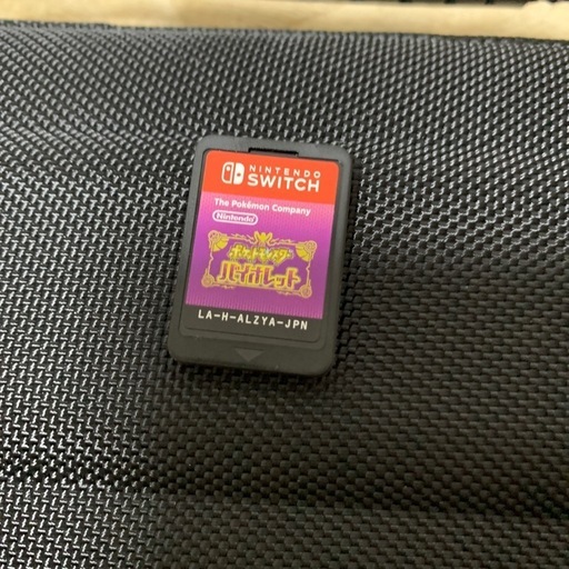 問い合わせ受付最終日！ニンテンドースイッチライト Nintendo Switch LITE