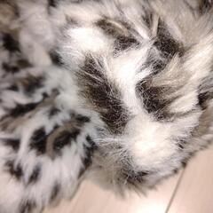 冬用ヒョウ柄のスリッパの画像