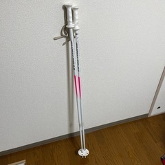スカイスティック