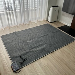 【美品】ホットカーペット&カーペット