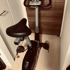 アルインコ　エアロバイク　フィットネスプロ