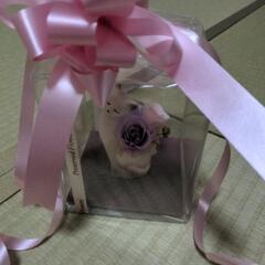 猫の置物