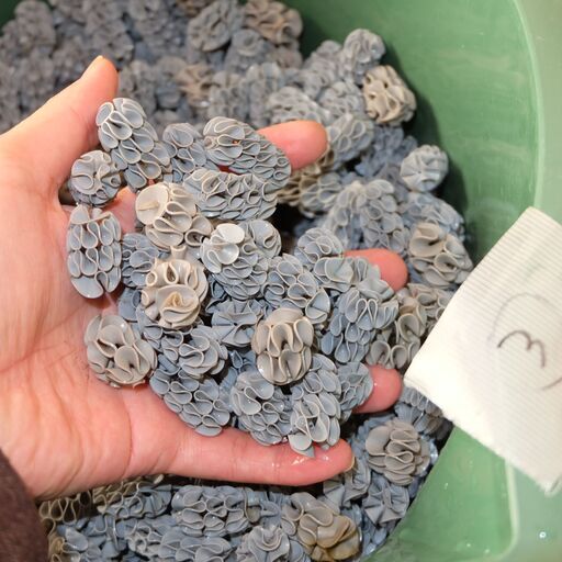 フジノスパイラル 約5L ろ材 濾材 ラボスパイラル LABOスパイラル